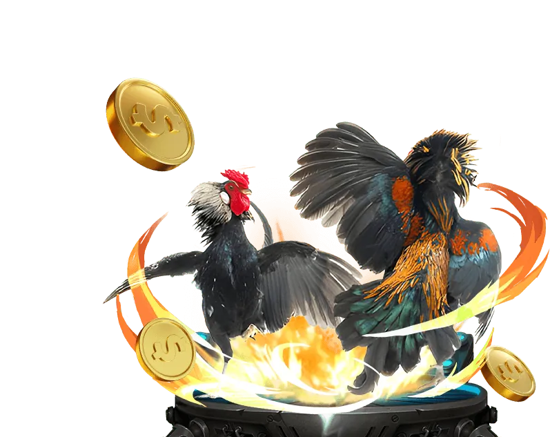 Người chơi đang trải nghiệm máy slot tại VN999 Win